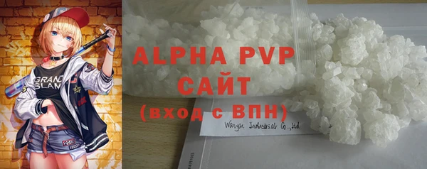 шишки Белая Холуница