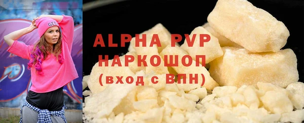 прущие грибы Новокубанск