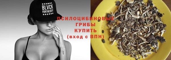 прущие грибы Новокубанск