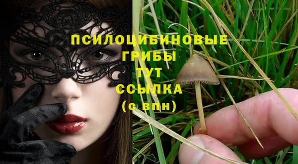 шишки Белая Холуница