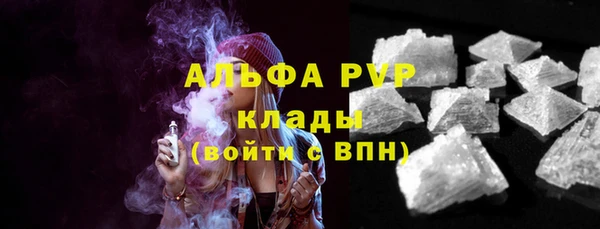 a pvp Новозыбков