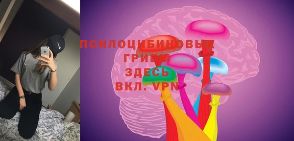 прущие крисы Новодвинск