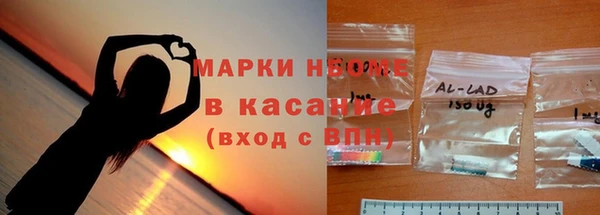 прущие грибы Новокубанск