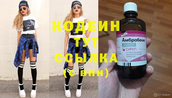 прущие грибы Новокубанск