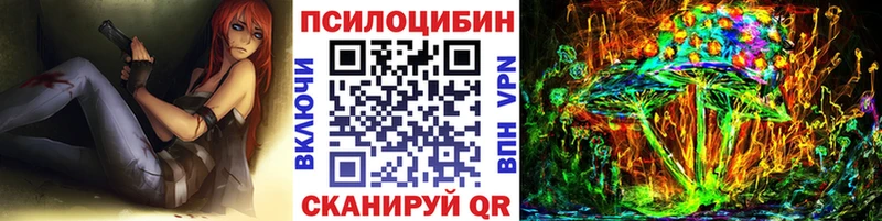 закладка  нарко площадка формула  Галлюциногенные грибы Psilocybe  Шагонар 