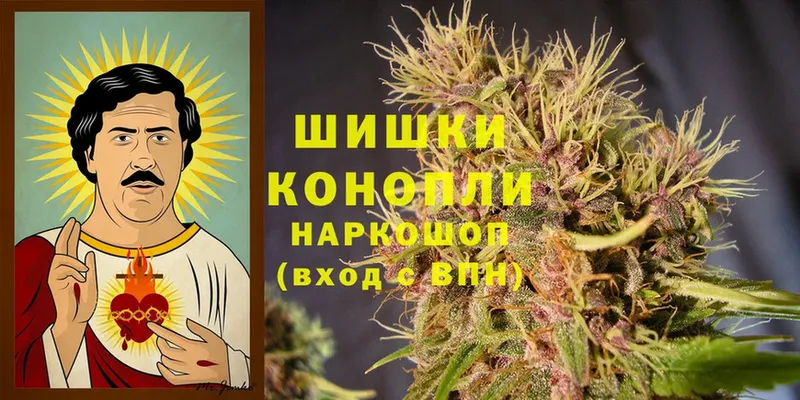 Бошки Шишки Ganja  МЕГА вход  Шагонар 